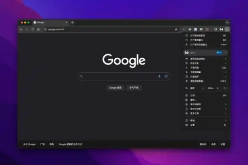 谷歌瀏覽器隱私設置